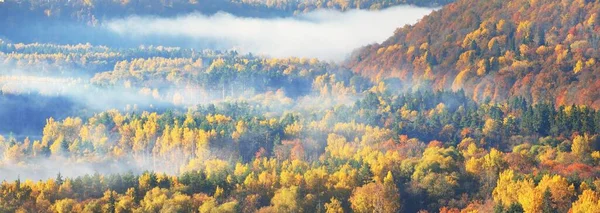 Захватывающий Дух Панорамный Вид Холмы Красочных Красных Оранжевых Желтых Деревьев — стоковое фото