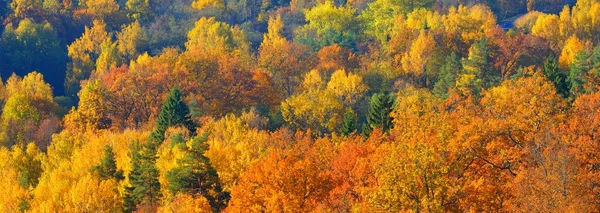 Hisnande Panoramautsikt Över Kullarna Färgglada Röda Orange Och Gula Träd — Stockfoto