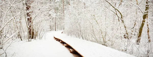 吹雪の後の雪に覆われた森の中を現代の木製の歩道 ボードウォーク 冬の風景 ノルディックウォーキング スキー エコツーリズム クリスマス休暇 ヨーロッパでのロックダウン中の現地旅行 — ストック写真