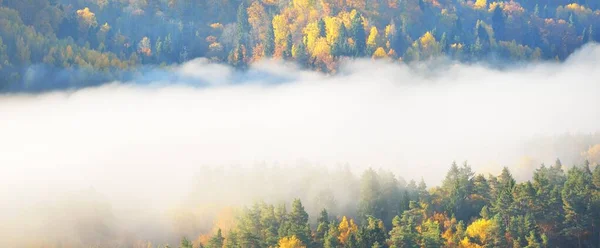 Захватывающий Дух Панорамный Вид Холмы Разноцветных Красных Оранжевых Желтых Деревьев — стоковое фото