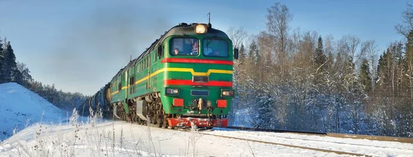 Зеленый Грузовой Поезд Дизельный Тепловоз Едет Лесу Латвии Стран Балтии — стоковое фото