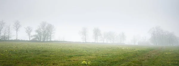 深い白い朝の霧の中で耕された農地と木々と緑の丘 大気の風景 牧歌的な田園風景 気候変動 パノラマビュー — ストック写真