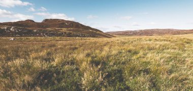 Islay Adası 'nın kayalık kıyıları ve vadilerin panoramik manzarası. Inner Hebrides, İskoçya, İngiltere. Idyllic manzara. Seyahat yerleri, ulusal dönüm noktası, eğlence, eko turizm, çevre