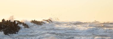 Gün batımında Baltık kıyısı. Yumuşak altın güneş ışığı, parlayan gökyüzü, dalgalar. Idyllic deniz manzarası. Seyahat yerleri, eko turizm, doğa, hava durumu, iklim değişikliği. Resimli panoramik manzara