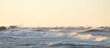 Gün batımında Baltık kıyısı. Yumuşak altın güneş ışığı, parlayan gökyüzü, dalgalar. Idyllic deniz manzarası. Seyahat yerleri, eko turizm, doğa, hava durumu, iklim değişikliği. Resimli panoramik manzara
