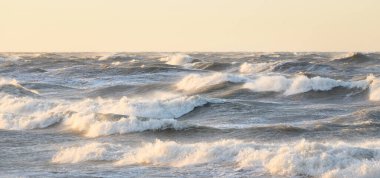 Gün batımında Baltık kıyısı. Yumuşak altın güneş ışığı, parlayan gökyüzü, dalgalar. Idyllic deniz manzarası. Seyahat yerleri, eko turizm, doğa, hava durumu, iklim değişikliği. Resimli panoramik manzara