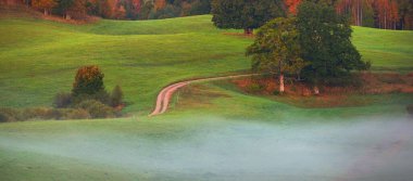 Güneşin doğuşuyla birlikte yeşil tepeler, tarlalar ve ormanın içinden geçen dolambaçlı kırsal bir yolun resimli hava görüntüsü. Meşe, ladin, huş ağacı. Renkli altın, kırmızı, turuncu yapraklar. Doğa, mevsimler, sonbahar