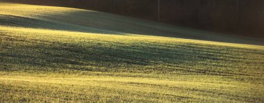 Güneş doğarken, yakın planda traktör izleriyle tarlaya sürülmüş. Altın ışık, sis, sis. Resimli sonbahar manzarası. Kırsal alan. Soyut doğal desen, doku, arkaplan, duvar kağıdı