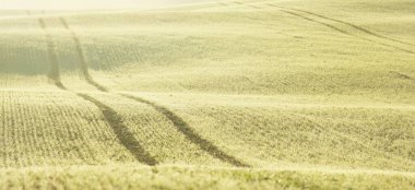 Güneş doğarken, yakın planda traktör izleriyle tarlaya sürülmüş. Altın ışık, sis, sis. Resimli sonbahar manzarası. Kırsal alan. Soyut doğal desen, doku, arkaplan, duvar kağıdı