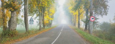 Renkli meşe, huş ağacı, yeşil, turuncu, sarı, altın yapraklı akçaağaç ağaçları boyunca eski asfalt köy yolu (alley). Yoğun sabah sisi. Doğal tünel. Atmosferik sonbahar manzarası