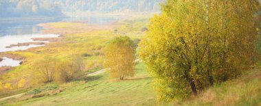 Daugava nehrinin renkli altın huş ağaçlarının ve kıvrımlarının panoramik hava manzarası. Sonbahar. Daugavas Loki doğa parkı, Latgale, Letonya. Ekoloji, eko-turizm, eğlence, seyahat yerleri, dönüm noktaları