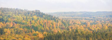 Gauja nehir vadisi ve gün doğumunda sisli bir sabah sisinde renkli altın ormanı. Sigulda, Letonya. Açık mavi gökyüzü. Nefes kesici panoramik hava manzarası. Saf doğa, çevre, turizm, eğlence