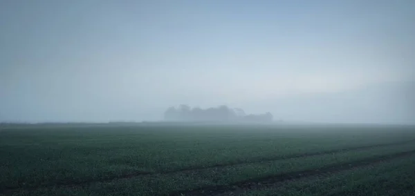 Campo Agrícola Lleno Huellas Tractores Amanecer Luz Luna Estrellas Niebla —  Fotos de Stock