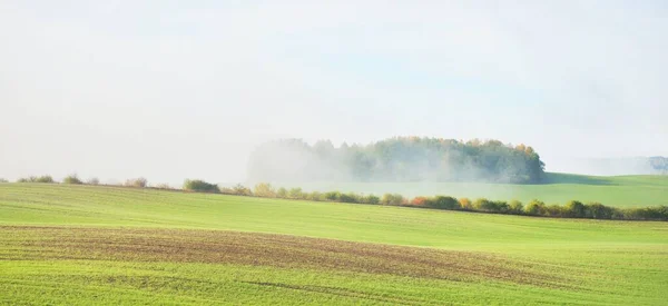 Colinas Verdes Campo Agrícola Arado Com Trilhas Trator Floresta Nascer — Fotografia de Stock