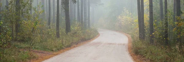 Strada Rurale Tortuosa Sentiero Attraverso Foresta Sempreverde Una Nebbia All — Foto Stock