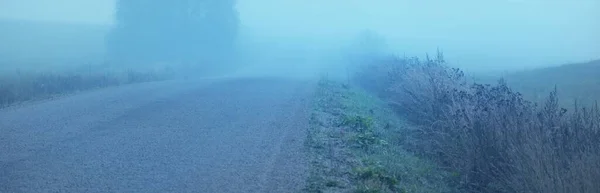 Панорамный Вид Автомобиля Грунтовой Дороги Через Поля Лес Тумане Восходе — стоковое фото