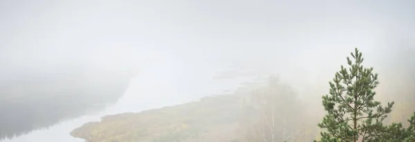 Vista Aérea Panorámica Del Majestuoso Bosque Pinos Curvas Del Río — Foto de Stock