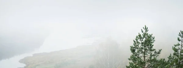 Панорамный Вид Воздуха Величественный Сосновый Лес Изгибы Реки Даугавы Тумане — стоковое фото