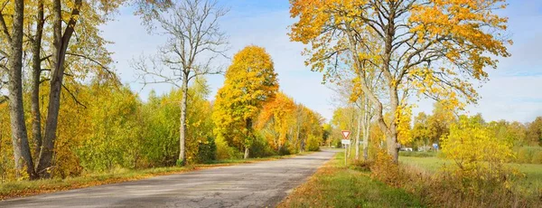 Stara Droga Asfaltowa Kraju Przez Kolorowe Drzewa Liściaste Dąb Klon — Zdjęcie stockowe