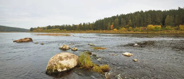 Paysage Pittoresque Rivière Sauvage Dans Une Majestueuse Forêt Feuilles Persistantes — Photo