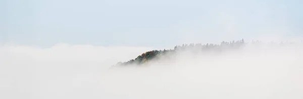 Valle Del Río Gauja Majestuoso Bosque Siempreverde Una Nube Misteriosa — Foto de Stock