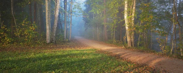 神秘的な朝の霧の中で森の中を通り抜けて カラフルな木々の自然のトンネル 青の光 牧歌的な秋のシーン 純粋な自然 生態学 大気の風景 ラトビアのシグルダ — ストック写真