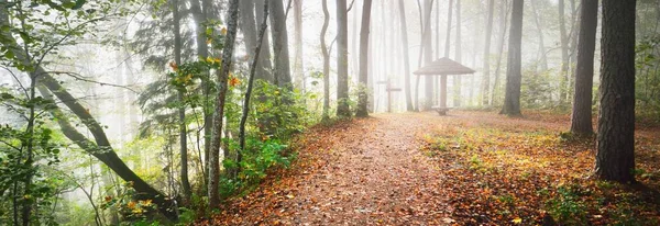 日出时 金色森林中休息区域的全景 柔和的晨光一个开放的木制露台特写 Idyllic秋季场景 拉脱维亚Sigulda Gauja国家公园 生态旅游 — 图库照片