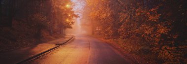 Yağmurlu bir sonbahar gününde, ağaçların ve köyün içinden geçen, boş, asfalt bir köy ve sisli bir yol, yakındaki sokak fenerleri, kırmızı ışık. Yolculuk, ulaşım, iletişim, sürüş