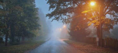 Yağmurlu bir sonbahar gününde, ağaçların ve köyün içinden geçen, boş, asfalt bir köy ve sisli bir yol, yakındaki sokak fenerleri, kırmızı ışık. Yolculuk, ulaşım, iletişim, sürüş