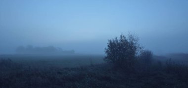Güneş doğduğunda tarla tarlasını traktör izleriyle sürmüş. Ay ışığı, yıldızlar, sis, sis, açık mavi gökyüzü. Atmosferik sonbahar manzarası. Idyllic kırsal kesim. Saf doğa, ekoloji, mevsimler, gece
