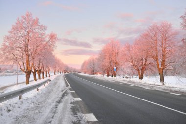 Karla kaplı orman ve kırsal alanda boş otoyol (asfalt yol). Otobüs durağı. Gündoğumu, kar yağışı. Doğa, Noel tatilleri, uzak yerler, kış lastikleri, tehlikeli sürüş konsepti