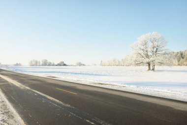 Karla kaplı orman ve kırsal alanda boş otoyol (asfalt yol). Kar sürükleniyor. Avrupa. Doğa, Noel tatilleri, uzak yerler, kış lastikleri, tehlikeli sürüş konsepti