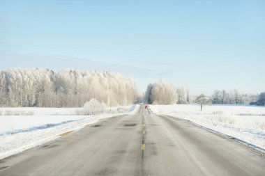 Karla kaplı orman ve kırsal alanda boş otoyol (asfalt yol). Kar sürükleniyor. Avrupa. Doğa, Noel tatilleri, uzak yerler, kış lastikleri, tehlikeli sürüş konsepti