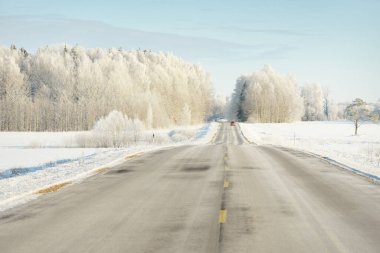 Karla kaplı orman ve kırsal alanda boş otoyol (asfalt yol). Kar sürükleniyor. Avrupa. Doğa, Noel tatilleri, uzak yerler, kış lastikleri, tehlikeli sürüş konsepti
