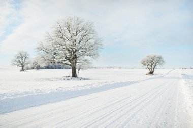 Kırsal alanda, karla kaplı tarlaların içinden geçen köy yolu. Arabadan görüntü. Kar sürükleniyor. Avrupa. Doğa, Noel tatilleri, uzak yerler, kış lastikleri, tehlikeli sürüş konsepti