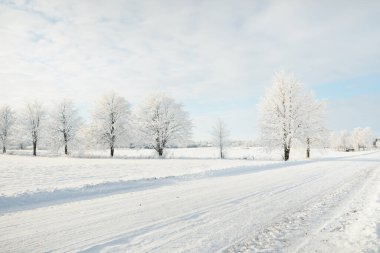 Kırsal alanda, karla kaplı tarlaların içinden geçen köy yolu. Arabadan görüntü. Kar sürükleniyor. Avrupa. Doğa, Noel tatilleri, uzak yerler, kış lastikleri, tehlikeli sürüş konsepti