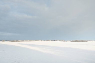 Orman çayırı ve kır arazisi. Saf güneş ışığı, açık mavi gökyüzü. Kış Harikalar Diyarı. Idyllic kırsal kesim. Ekoloji, eko turizm, çevre koruma, noel tatilleri, kayak, uzak yerler