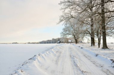 Güneşli bir günde karla kaplı tarlaların ve köyün içinden geçen yol. Arka plandaki kır evleri. Idyllic manzara. Noel tatilleri, eko turizm, yürüyüş, kayak, uzak yerler, off-road teması