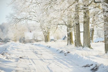 Güneşli bir günde karla kaplı tarlaların ve köyün içinden geçen yol. Arka plandaki kır evleri. Idyllic manzara. Noel tatilleri, eko turizm, yürüyüş, kayak, uzak yerler, off-road teması
