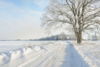 Güneşli bir günde karla kaplı tarlaların ve köyün içinden geçen yol. Arka plandaki kır evleri. Idyllic manzara. Noel tatilleri, eko turizm, yürüyüş, kayak, uzak yerler, off-road teması