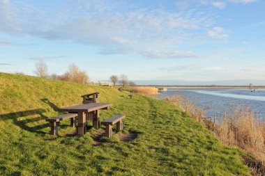 Modern dinlenme alanı, orman parkı, göl. Tahta banklar, masalar. Kamp alanı. Yumuşak güneş ışığı, açık gökyüzü. Baharın başında. Idyllic manzara. Doğa, çevre, ekoloji, eko-turizm, tatiller, hafta sonu