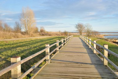 Modern ahşap yürüyüş yolu (bisiklet yolu, tahta yol). Eğlence alanı, orman parkı. Yumuşak güneş ışığı, açık gökyüzü. Baharın başında. Idyllic manzara. Doğa, çevre, ekoloji, eko-turizm, tatiller, hafta sonu
