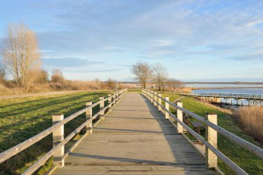 Modern ahşap yürüyüş yolu (bisiklet yolu, tahta yol). Eğlence alanı, orman parkı. Yumuşak güneş ışığı, açık gökyüzü. Baharın başında. Idyllic manzara. Doğa, çevre, ekoloji, eko-turizm, tatiller, hafta sonu