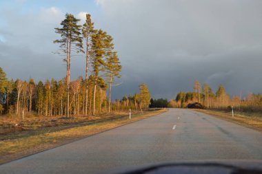 Gün batımında tarla ve orman boyunca asfalt yol (karayolu). Arabadan görüntü. Turizm, tatiller, uzak yerler, lojistik kavramlar