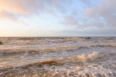 Gün batımında Baltık Denizi. Dramatik gökyüzü, mavi ve pembe parlayan bulutlar, altın güneş ışığı. Dalgalar, su sıçratma. Resimli manzara, deniz manzarası, doğa. Panoramik görünüm,