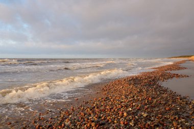 Gün batımında Baltık kıyılarından panoramik manzara. Dramatik bulutlar, parlayan bulutlar, fırtınadan sonra altın güneş ışığı. Doğa, çevre, iklim değişikliği, kararsız hava