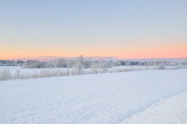Gün doğumunda karla kaplı alanın (orman çayırı) atmosferik manzarası. Saf altın güneş ışığı. Kar tepeleri. Kış Harikalar Diyarı. Mevsimler, eko-turizm, Noel tatilleri, uzak yerler, off-road