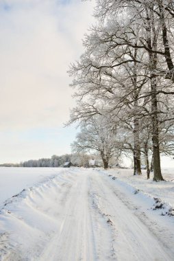 Güneşli bir günde karla kaplı tarlaların ve köyün içinden geçen yol. Arka plandaki kır evleri. Idyllic manzara. Noel tatilleri, eko turizm, yürüyüş, kayak, uzak yerler, off-road teması