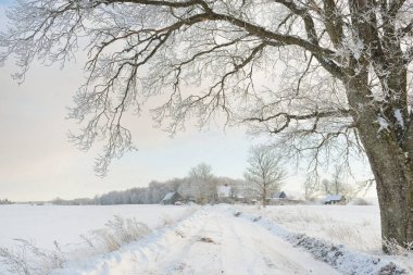 Güneşli bir günde karla kaplı tarlaların ve köyün içinden geçen yol. Arka plandaki kır evleri. Idyllic manzara. Noel tatilleri, eko turizm, yürüyüş, kayak, uzak yerler, off-road teması