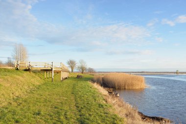 Modern dinlenme alanı, orman parkı, göl. Tahta banklar, masalar. Kamp alanı. Yumuşak güneş ışığı, açık gökyüzü. Baharın başında. Idyllic manzara. Doğa, çevre, ekoloji, eko-turizm, tatiller, hafta sonu
